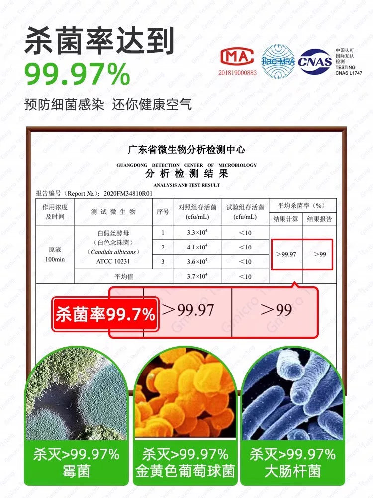 Car Deodorant Deodorant Home Car Deodorant Purifier Bactericide Car Air Conditioner Air Freshener